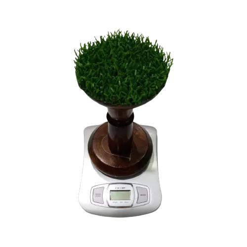 ميزان كامري بلاستيك سيلفر خفيف 5 كيلو 1 جرام 2 زر ابيض كبير مع راس وكر خشب EK3650