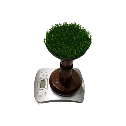 ميزان كامري بلاستيك سيلفر خفيف 5 كيلو 1 جرام 2 زر ابيض كبير مع راس وكر خشب EK3650 - الصورة 2