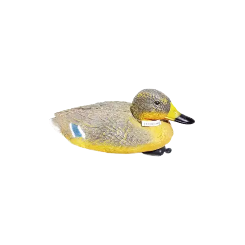 بط طيار كبير لون اصفر رمادي راس رمادي غامق بوز اصفر