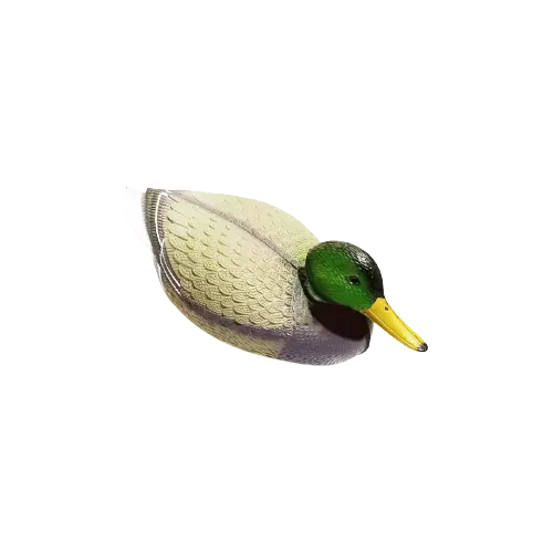بط طيار كبير لون اخضر رمادي راس اخضر غامق بوز اصفر